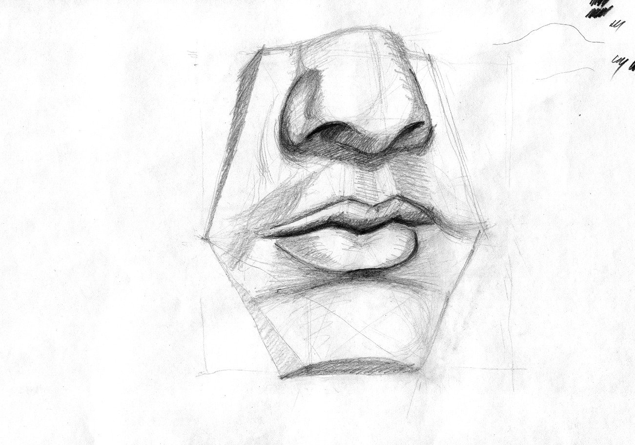 Gypsum cast from the drawing class