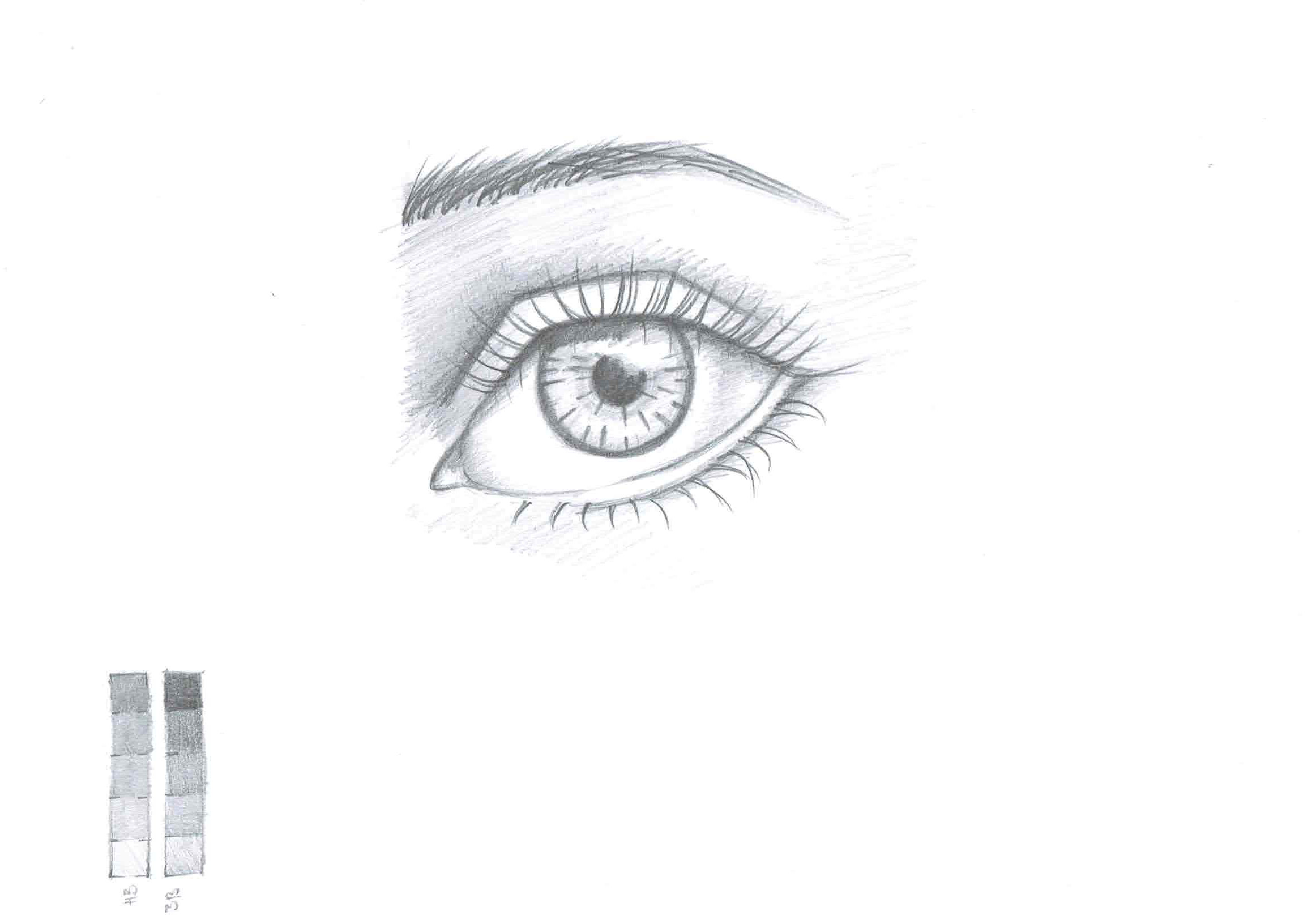 The Ultimate Drawing Course - Beginner to Advanced