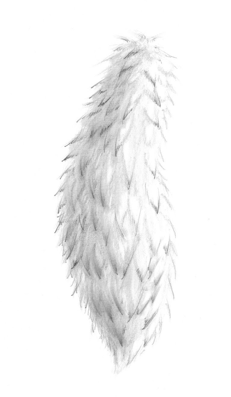 The Ultimate Drawing Course - Beginner to Advanced