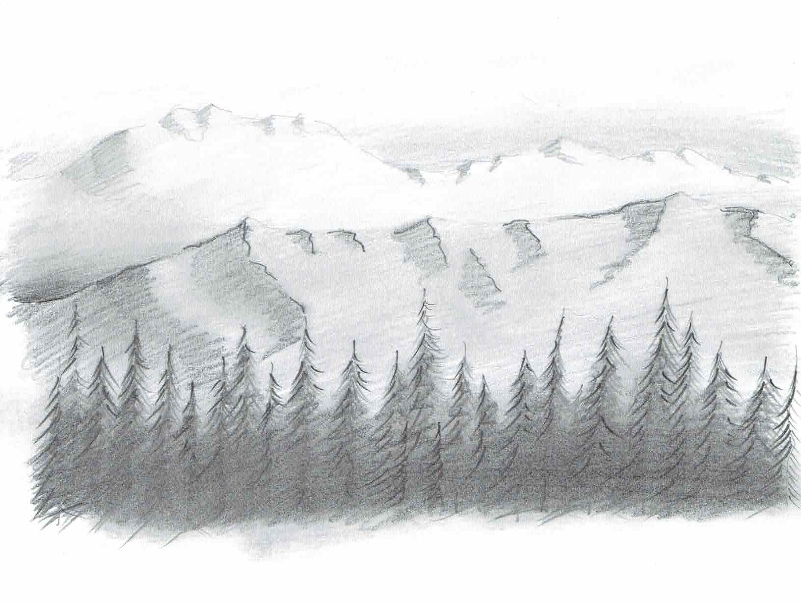 The Ultimate Drawing Course - Beginner to Advanced