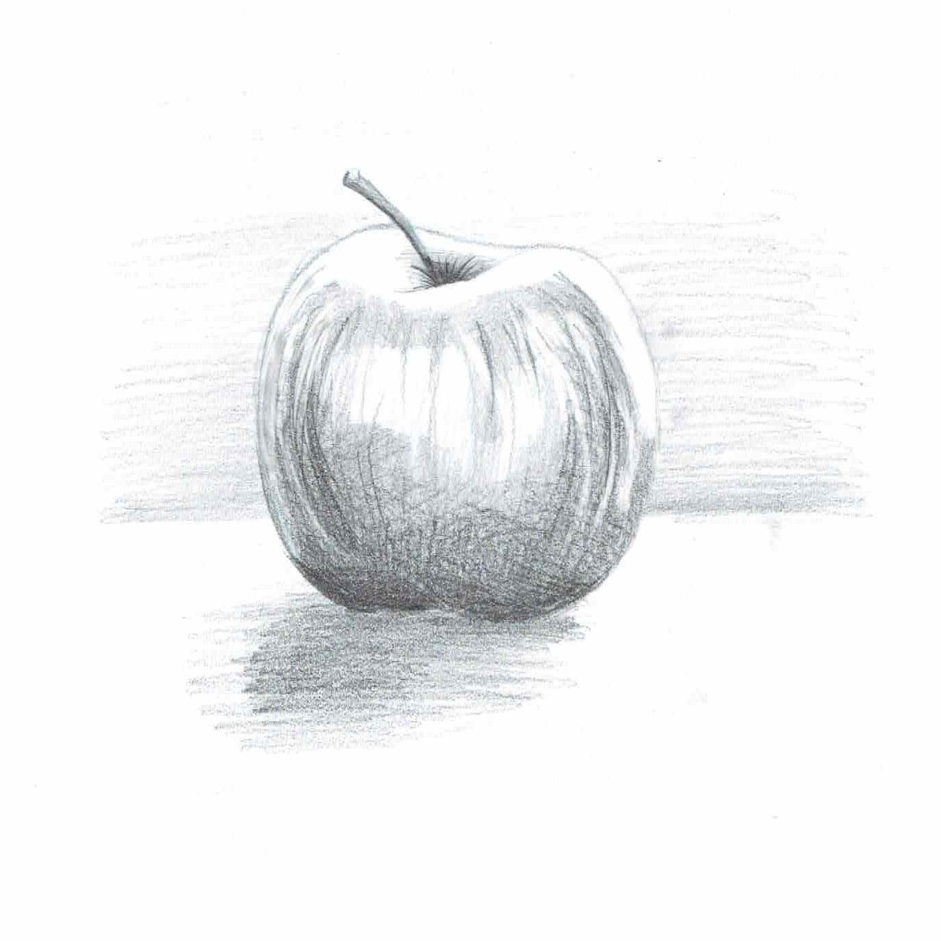 The Ultimate Drawing Course - Beginner to Advanced