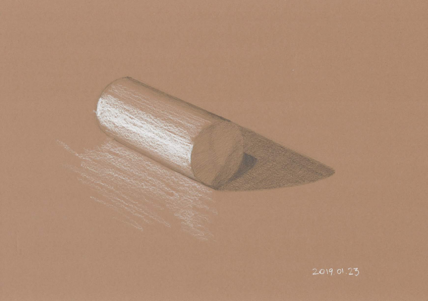 Shading exercise (pencils and white chalk on colored paper)