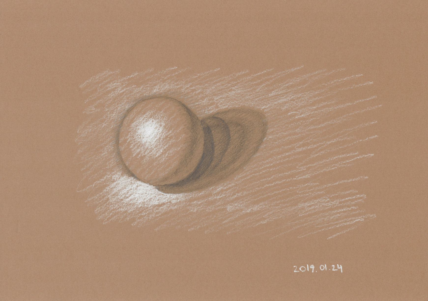 Shading exercise (pencils and white chalk on colored paper)