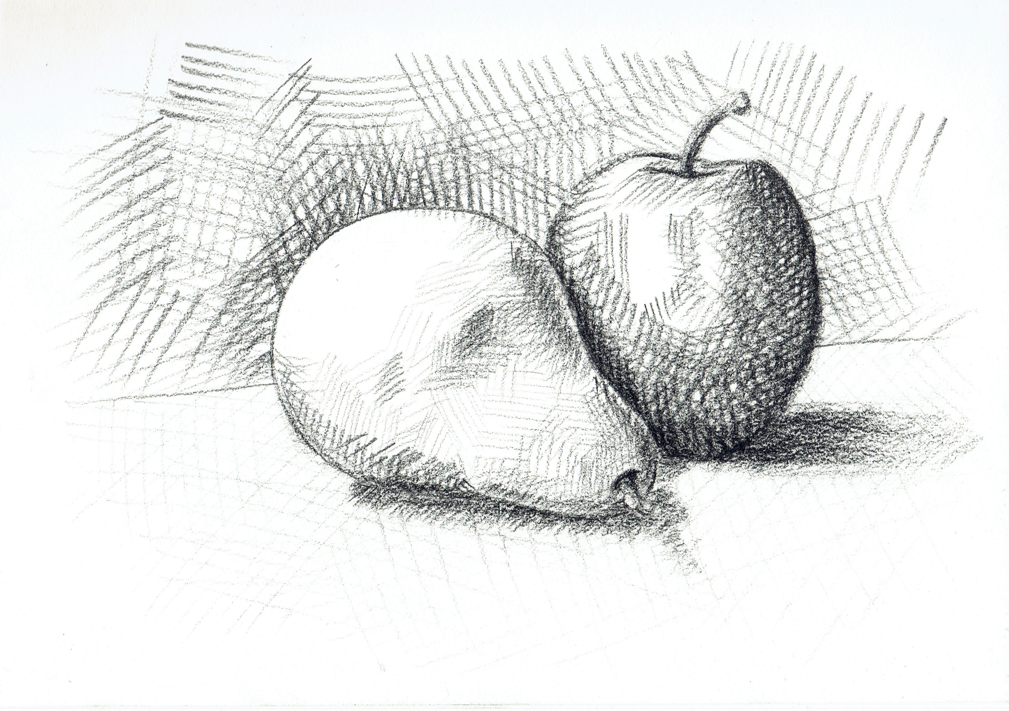 Photo reference from the course