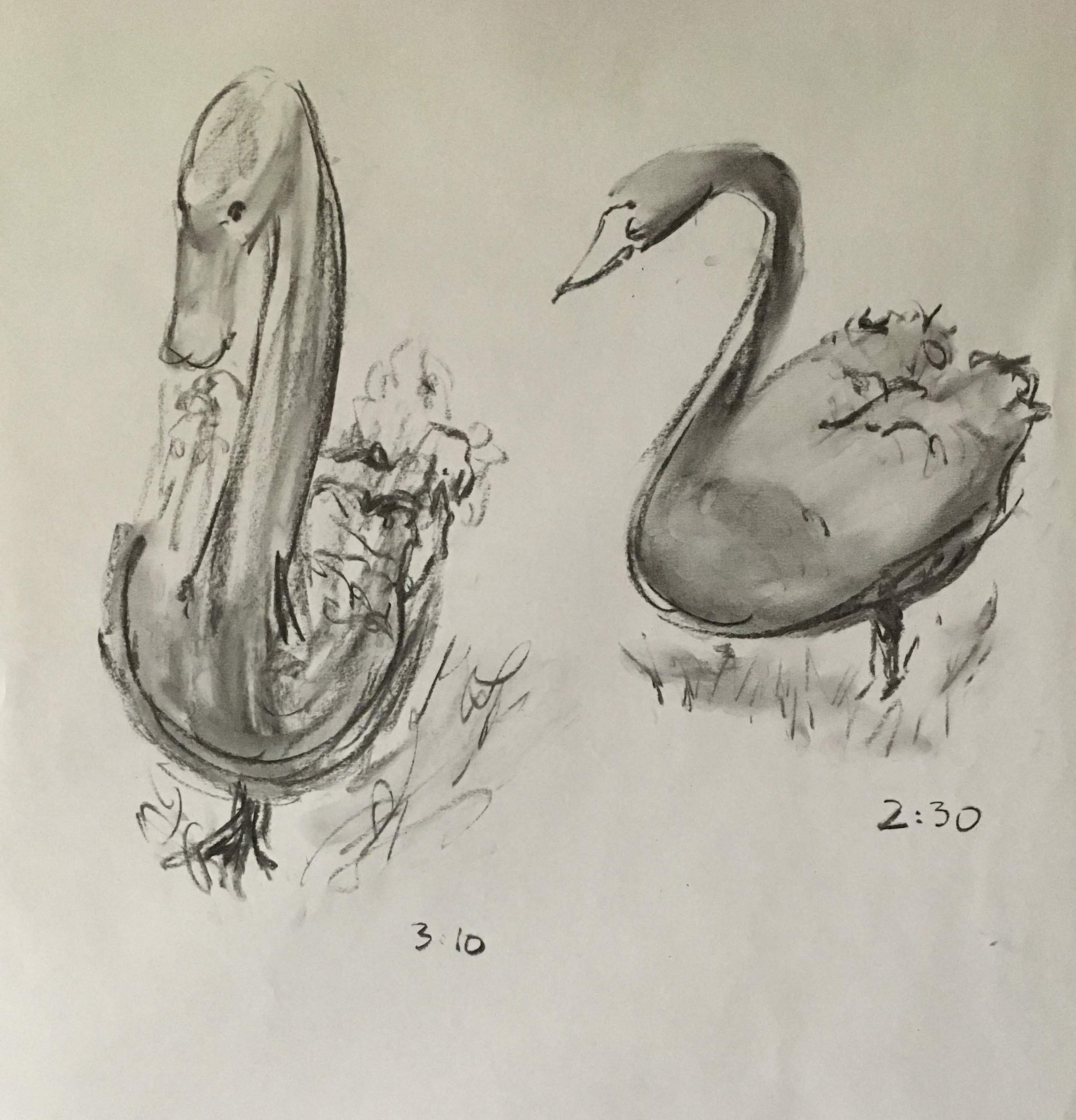 Vine charcoal on flip-chart paper (Photo reference from the course)