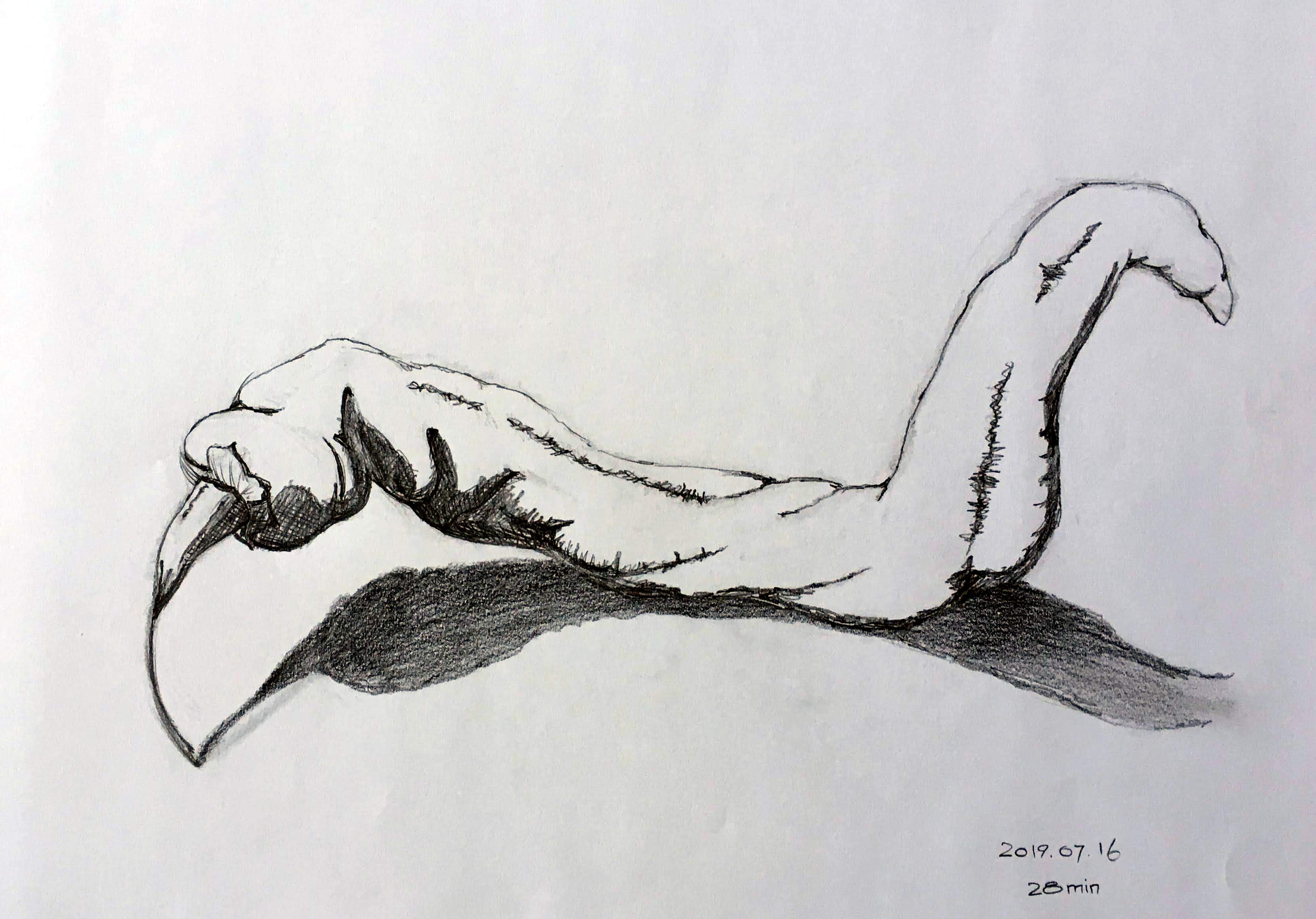 Photo reference from the course