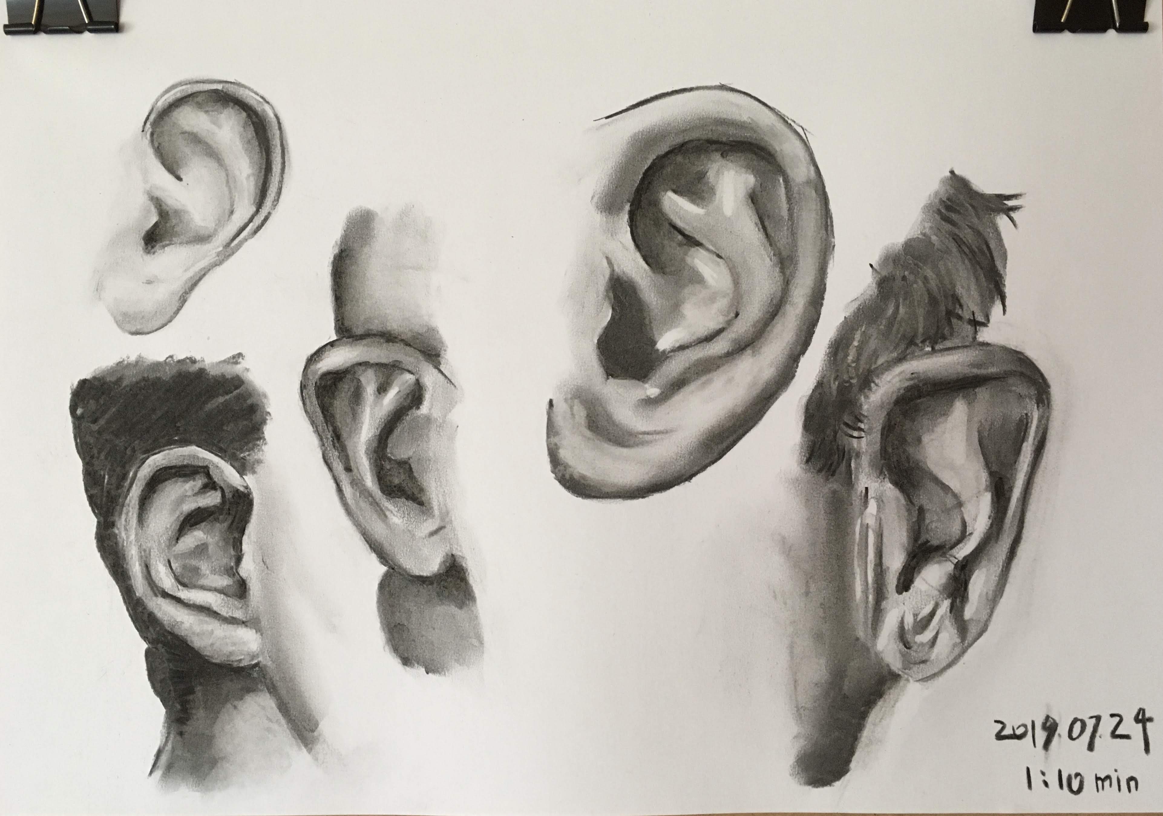 Some ears (Photo reference from the course and Pinterest)