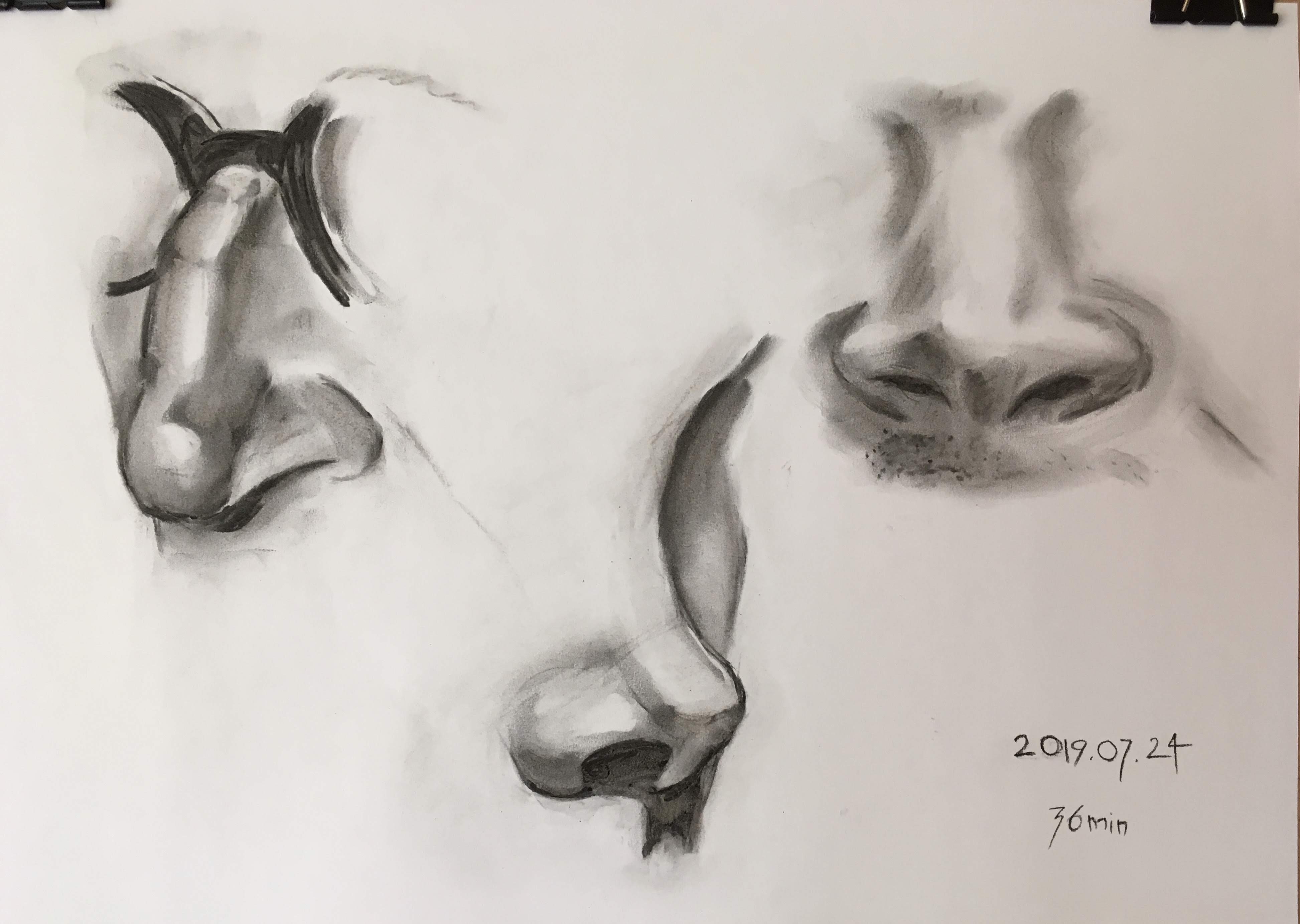 Some noses (Photo reference from the course and Pinterest)