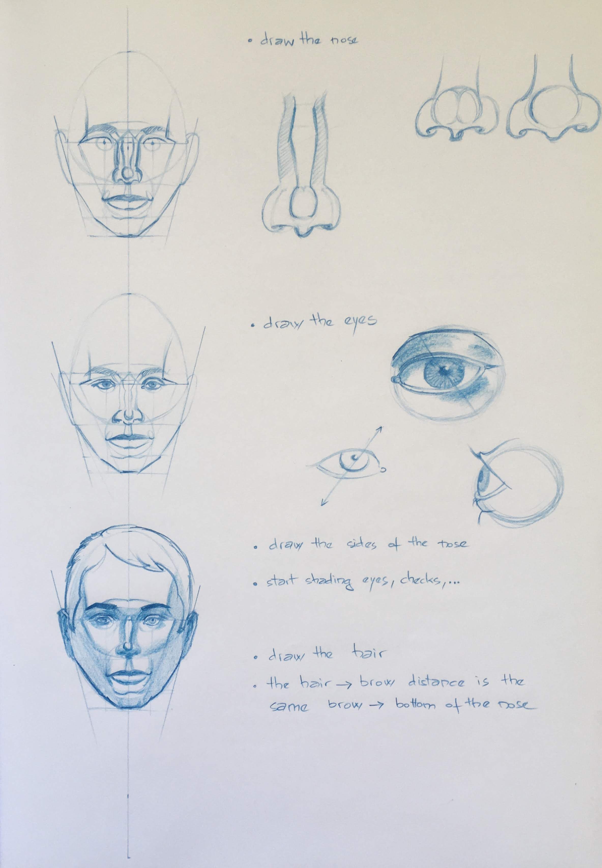 Notes on drawing the head