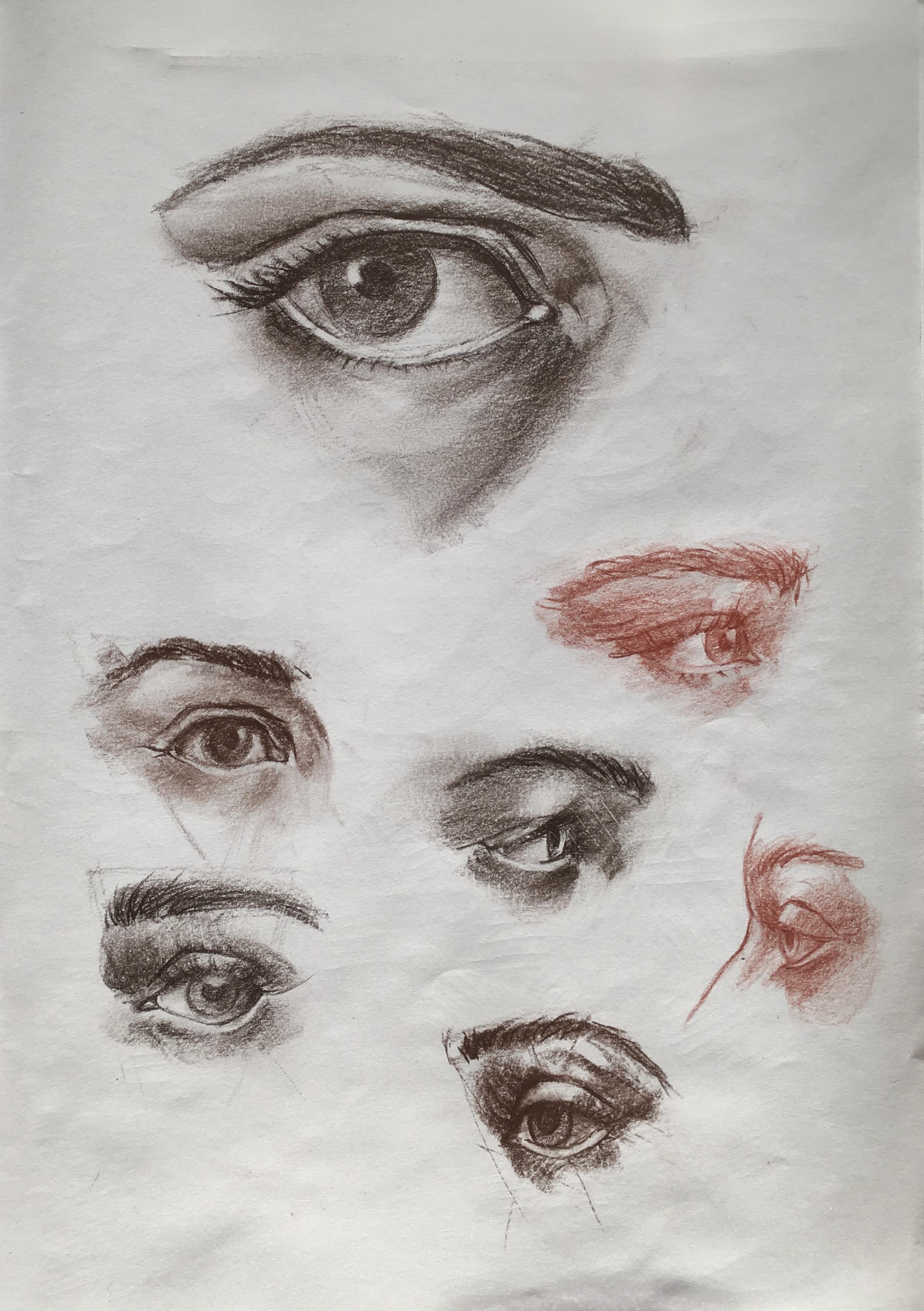 The features of the face: The eyes