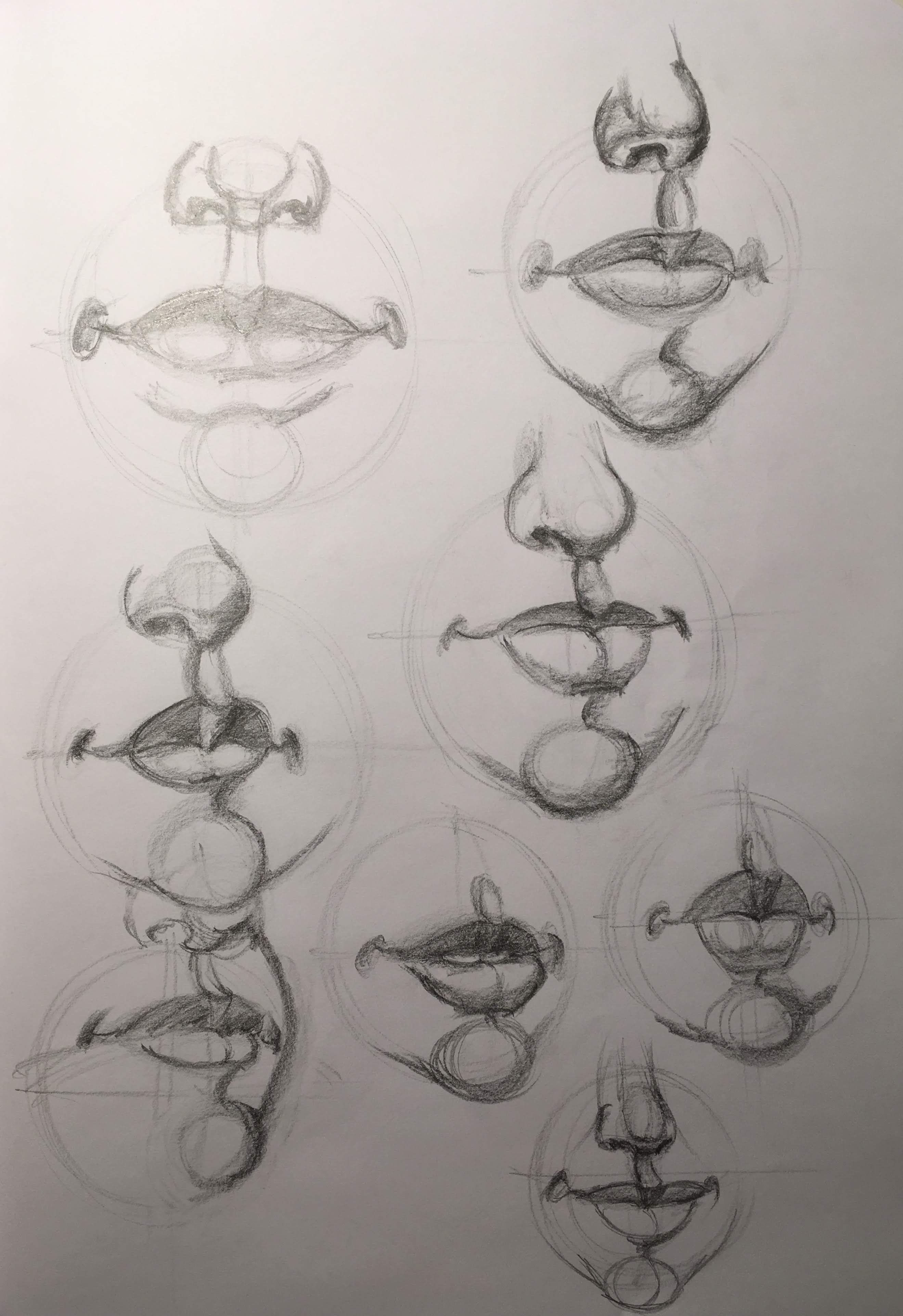 The features of the face: The mouth