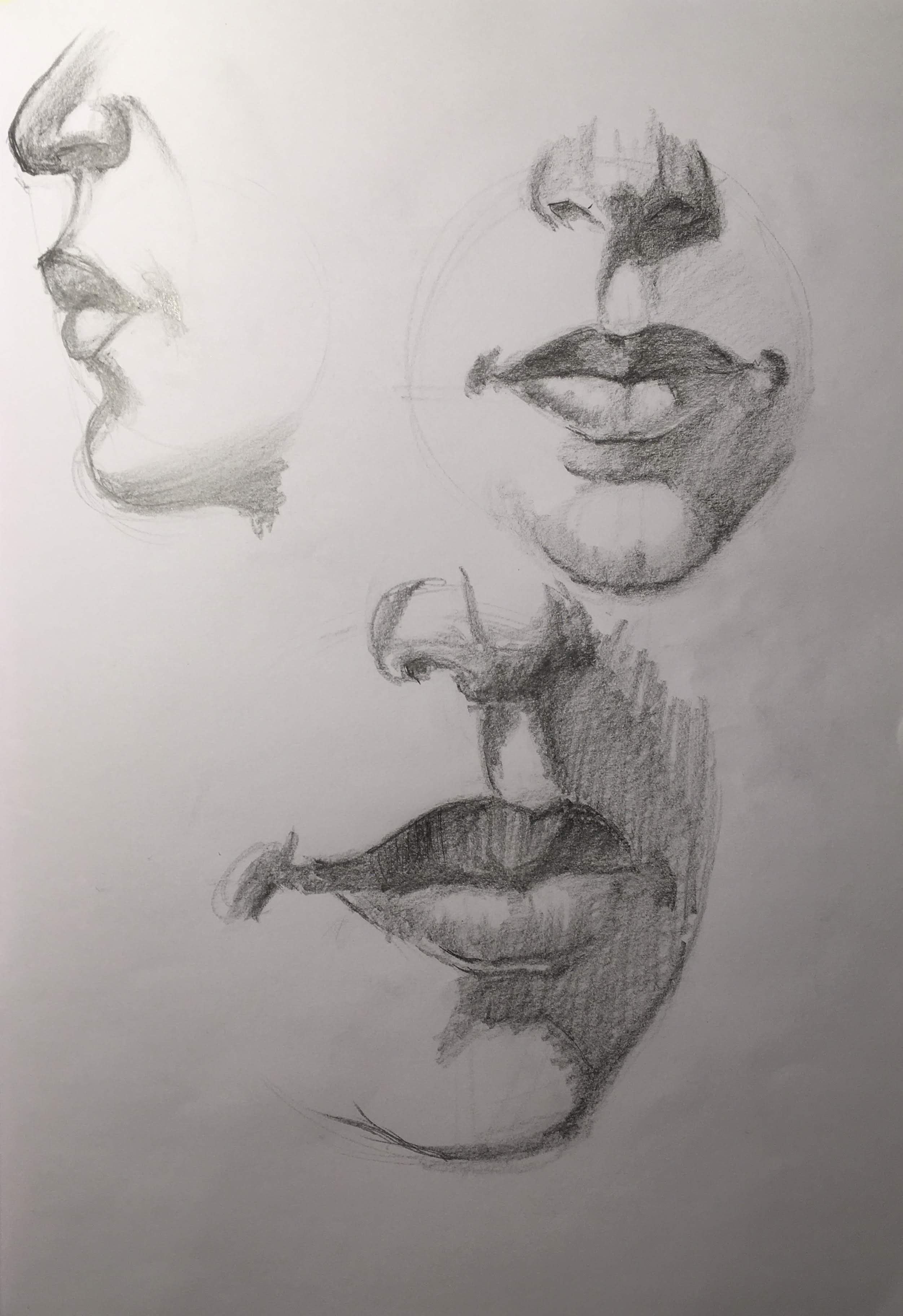 The features of the face: The mouth