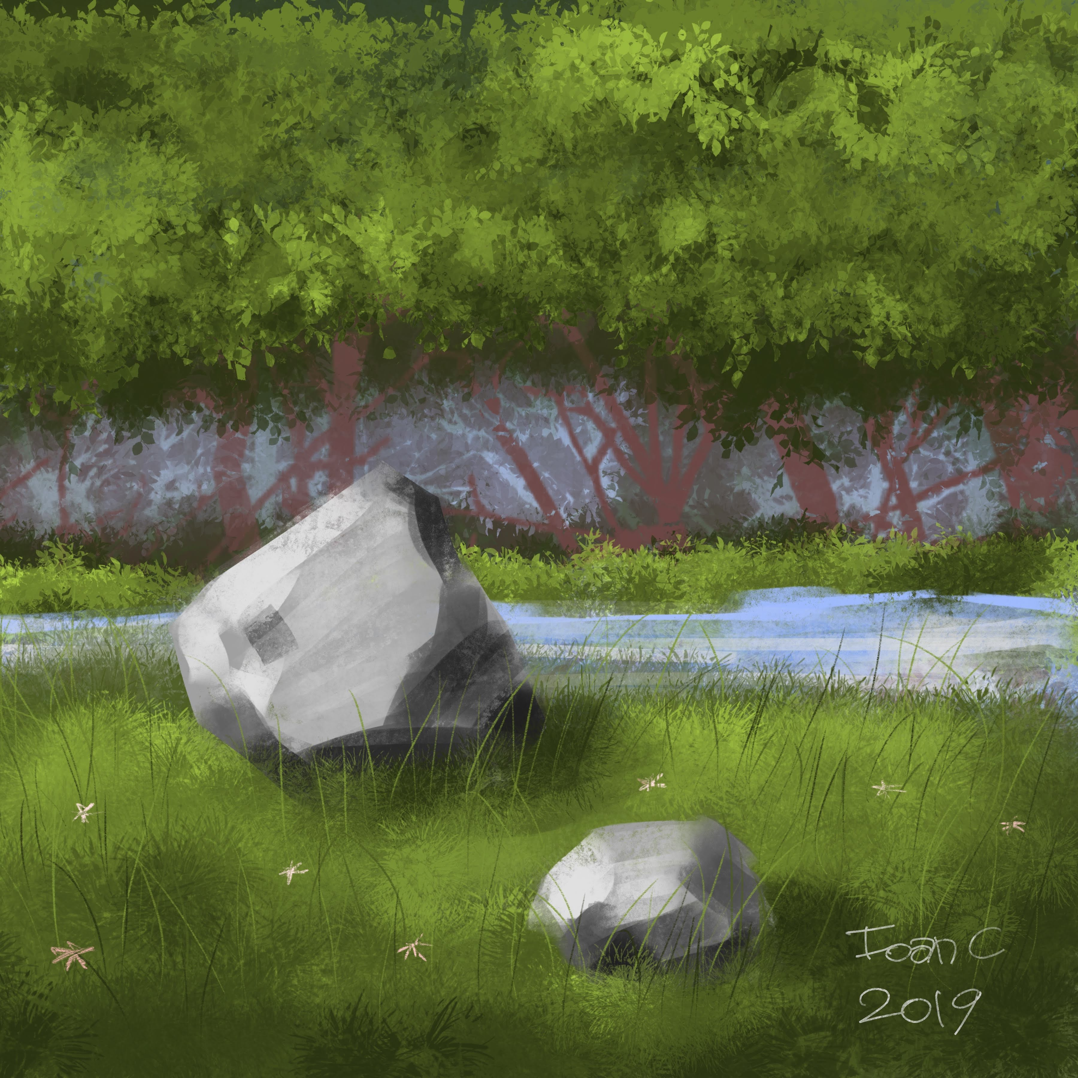 Used Flora brushes and Nikko Rull standard brush