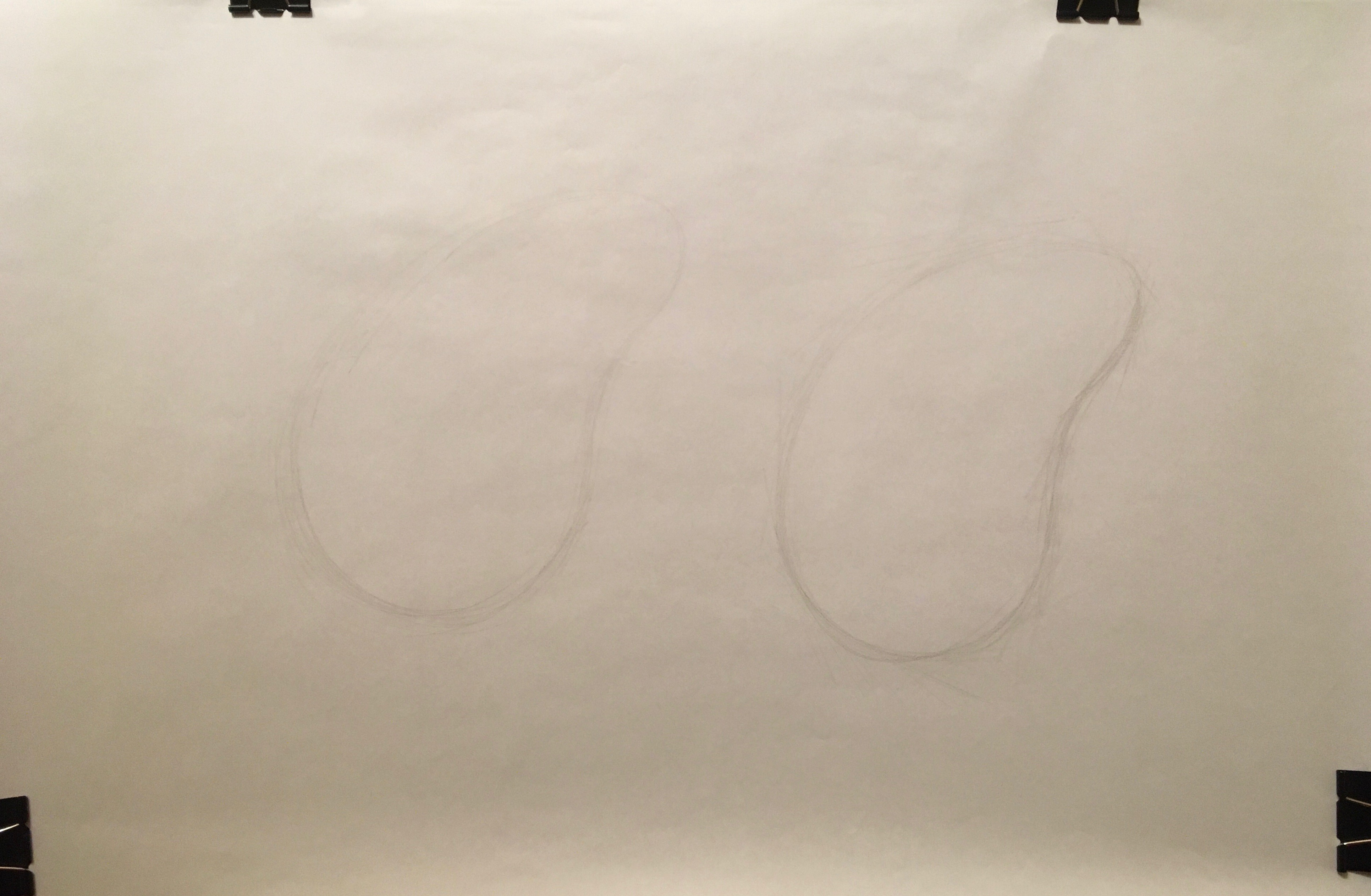 assignmet 2: draw some bending oval or egg on left, then copy it on the right