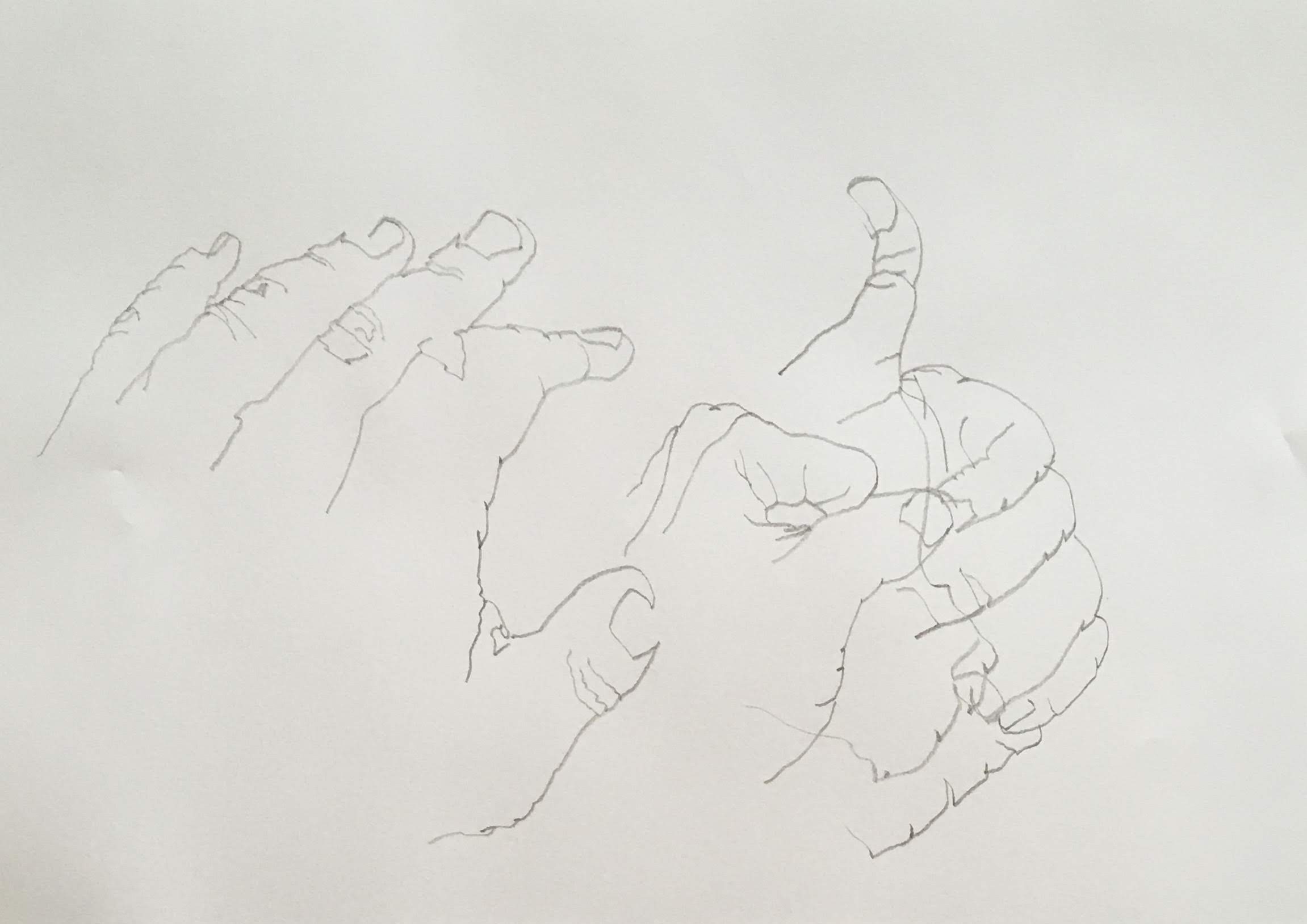 Partially blind contour (1/3)