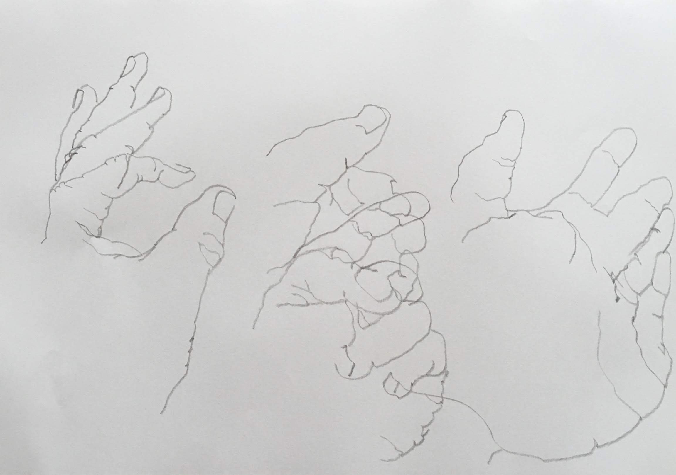 Partially blind contour (3/3)