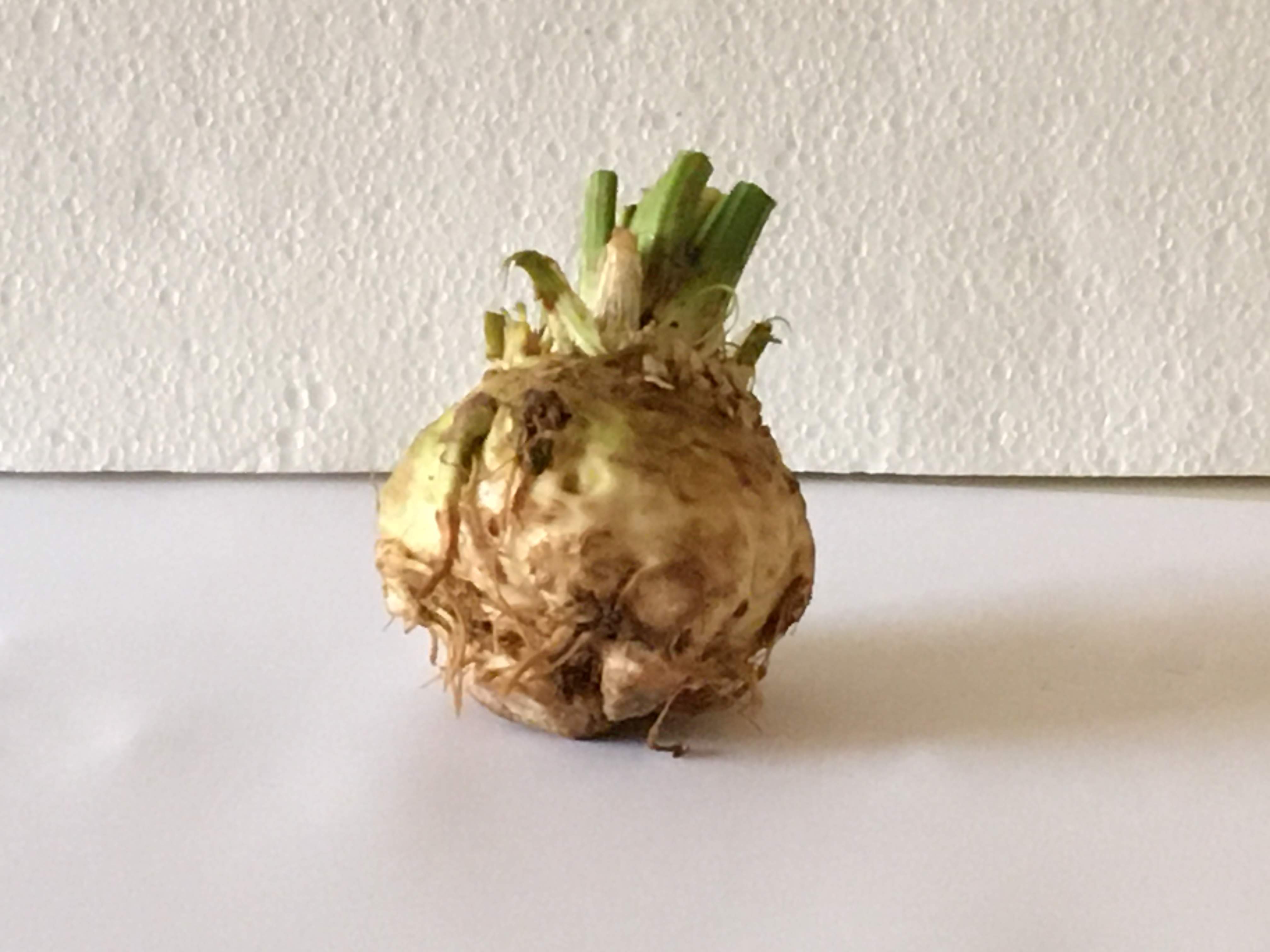 Celery root