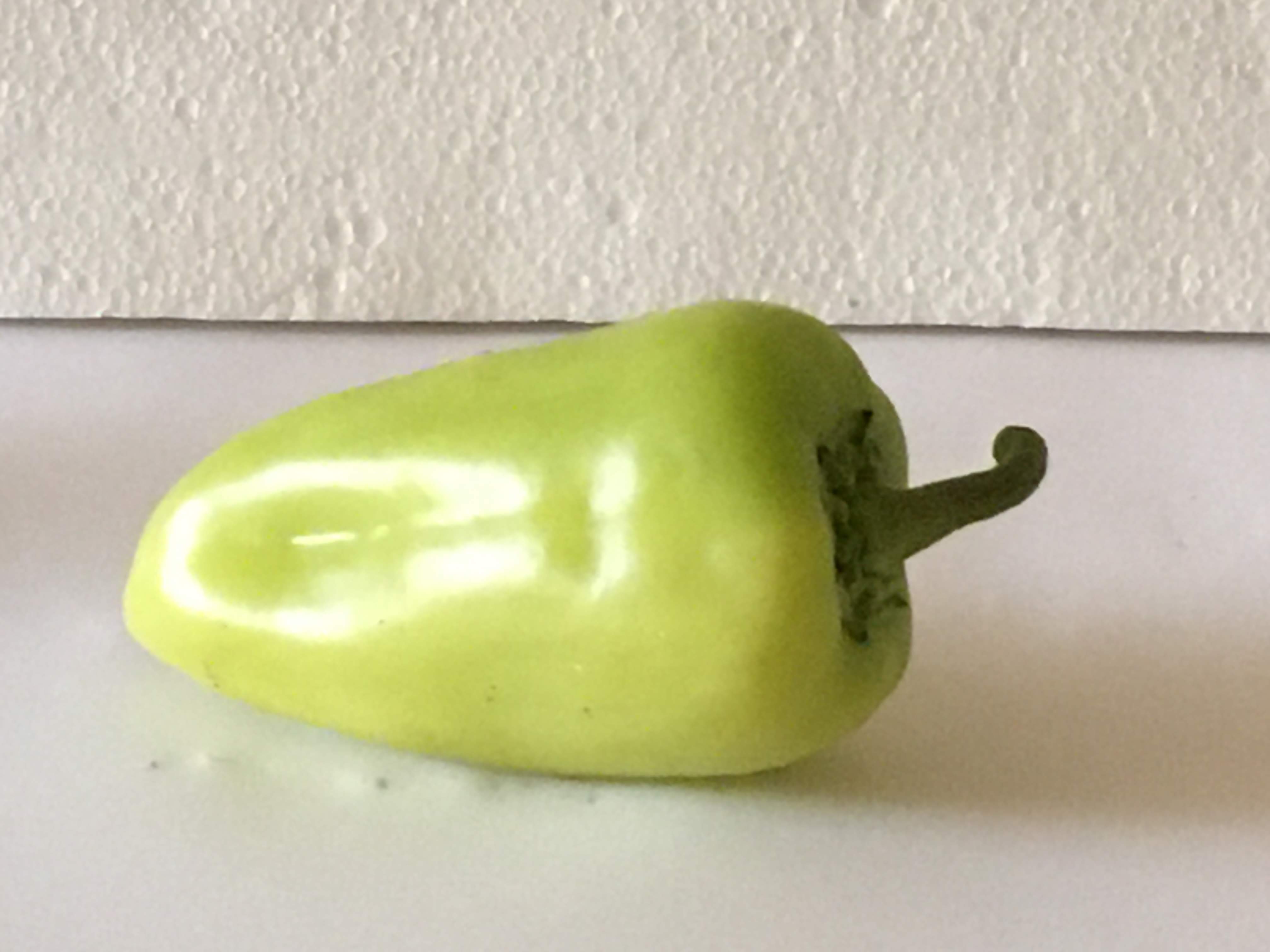 Green pepper